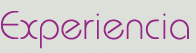 Experiencia